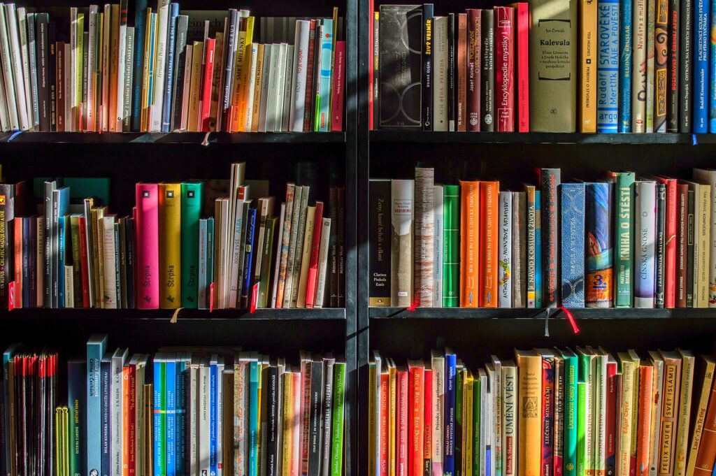 Colourful books on shelves