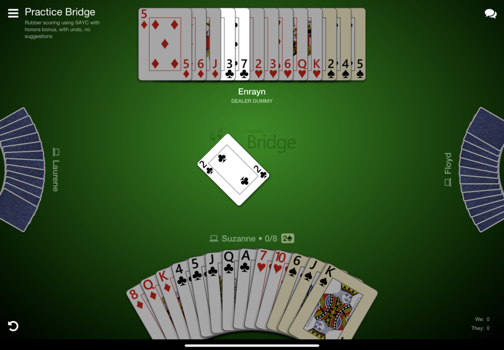 A bridge table showing the player and dummy in a 2 Spades contract
Player has 
Diamonds K, Q, 8
Clubs A, Q, J, 5, 4
Hearts 10, 8
Spades K, J, 6

Dummies showing
Diamonds J, 6, 5
Clubs 7, 3
Hearts K, Q, 6, 3, 2
Spades 5, 4, 2