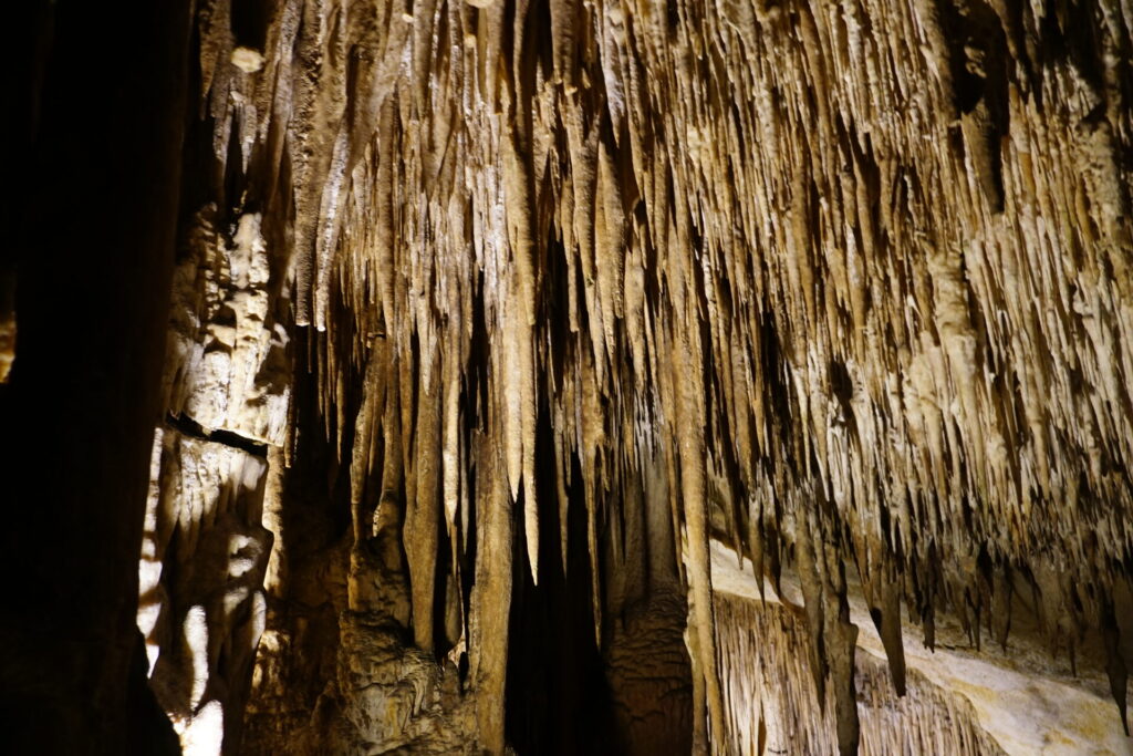 There is no space left in this close up of Stalactites  